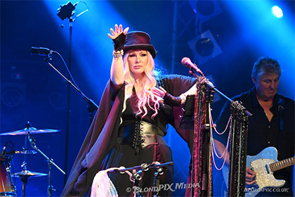 fleetwood mac tribute act